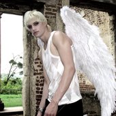 TV (Angels)