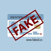 Avatar for fakeidcxs