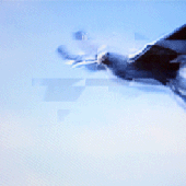 Avatar for msc1