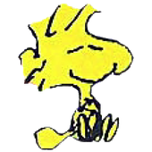 Avatar for YjSo-chi