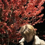 IMG_2356.jpeg