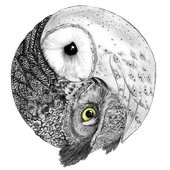 Avatar for SoyKarma