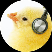 Avatar for unoriginalmain