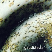 GT