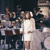 the-orchestra-of-the-19th-sanremo-music-festival-news-photo-1614764801.jpeg