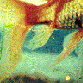 Avatar for Tantey