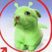 Avatar für robokyluver985