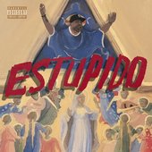 ESTUPIDO