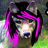 Avatar for ClownFaceRAWR