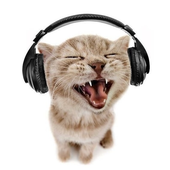 Avatar for swampkittens