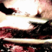 Avatar für doom_luna