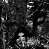 Defernos 1998. Pre ''When the wolves return to the forest'' pic session.jpg
