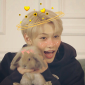 Avatar for kpopfangirll