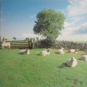 The Chill Out Tapes