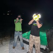 arctic cat