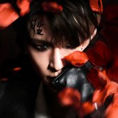 Flawed Crown