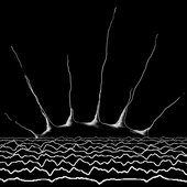 Molecular-scale observation of the sunrise floating on sound waves - EP