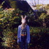 Avatar di ilisu