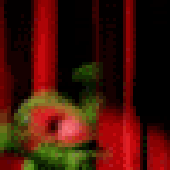 Avatar für Junia26