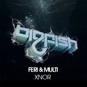 XNOR