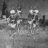 Avatar for BonesAndRoots