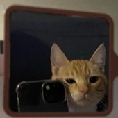 Avatar for sun0rk