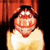 Avatar for awinvt