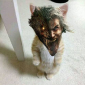 Avatar for TheRealSaepe69