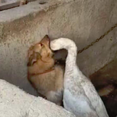 aaaydhshshajenjsjj