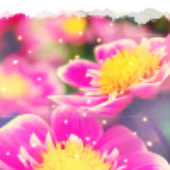 Avatar for ClaudiaFTW