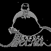 Avatar di feenix404