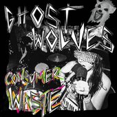 Consumer Waste
