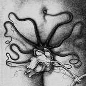 Organon / Biche - Split