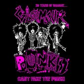 20 Years of Damage...can't Fake the Punk!