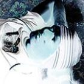 Avatar for anty-