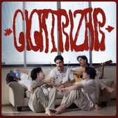 Cicatrizar