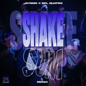 Shake Sum (Remix)
