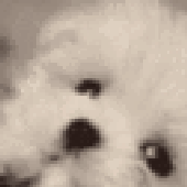 Avatar for wallacesousa