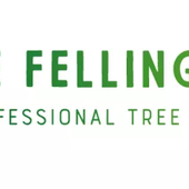 Avatar for treefellingumhl