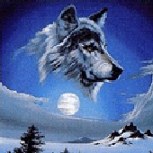 Avatar for Coshida_81