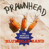 Worlds Premier Bluebilly Band