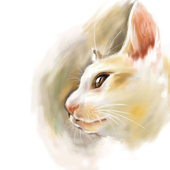 Avatar di lulangce