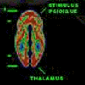 oldskull için avatar