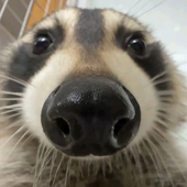 Avatar for Kokuzz