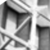 Avatar for normanc4444
