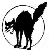 Avatar for hullukissa