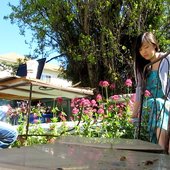 Surasshu and Aivi composing under the sun...