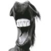 Avatar for petitchevalroux