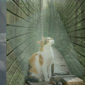 雨过天干