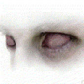 Avatar for Mr_GobA